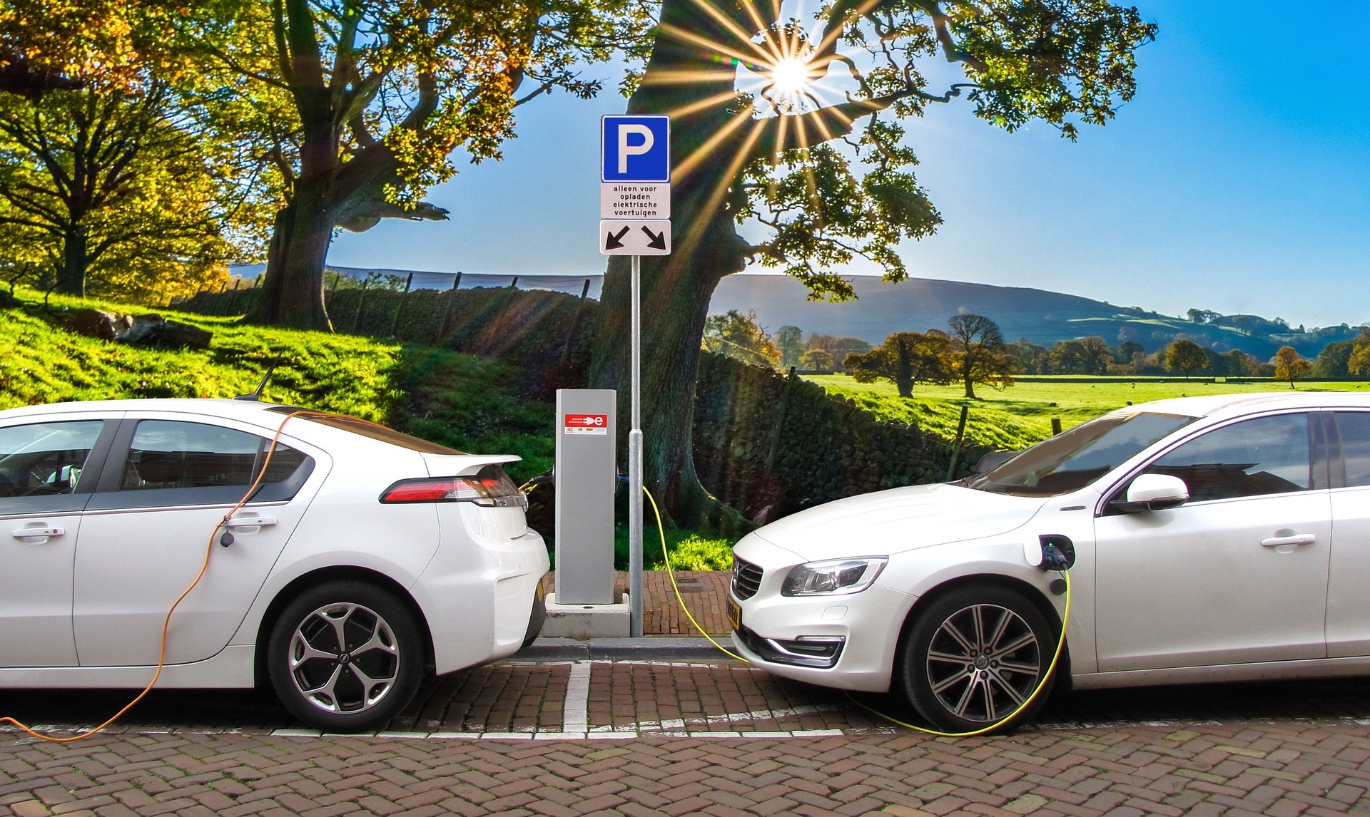 macchine elettriche meno care 