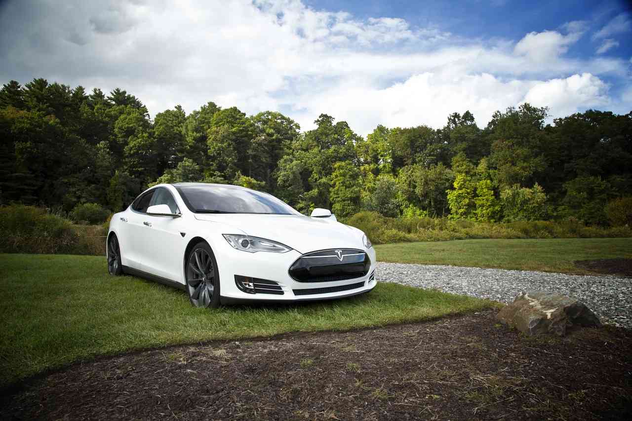 Auto elettriche 2021