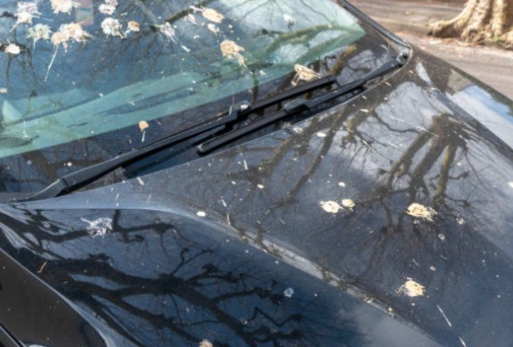 Come pulire l'auto