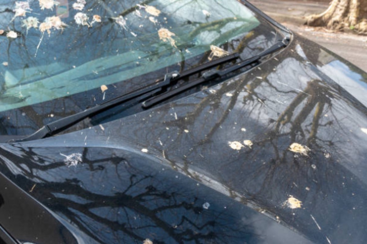 Come pulire l'auto