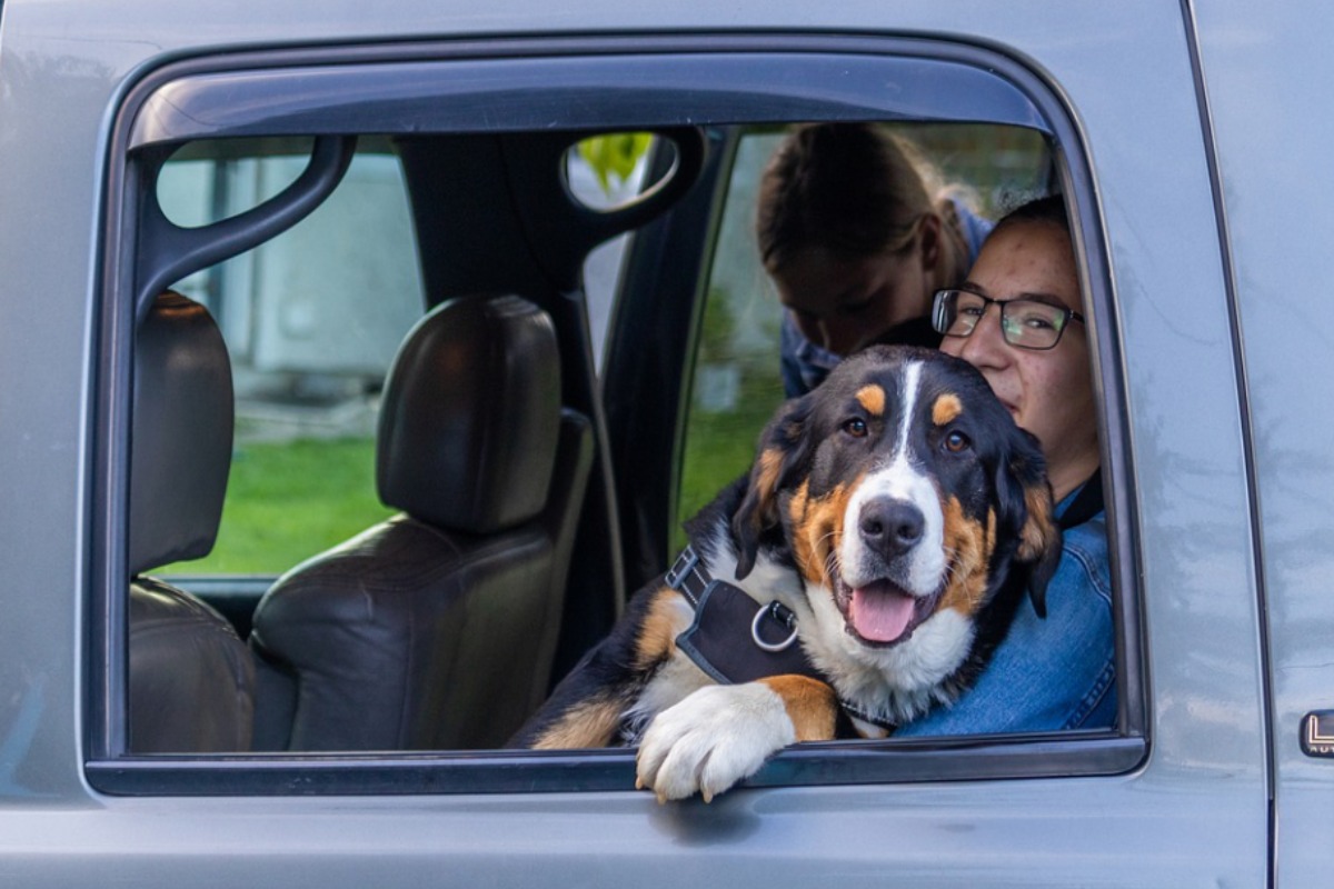 come pulire l'auto