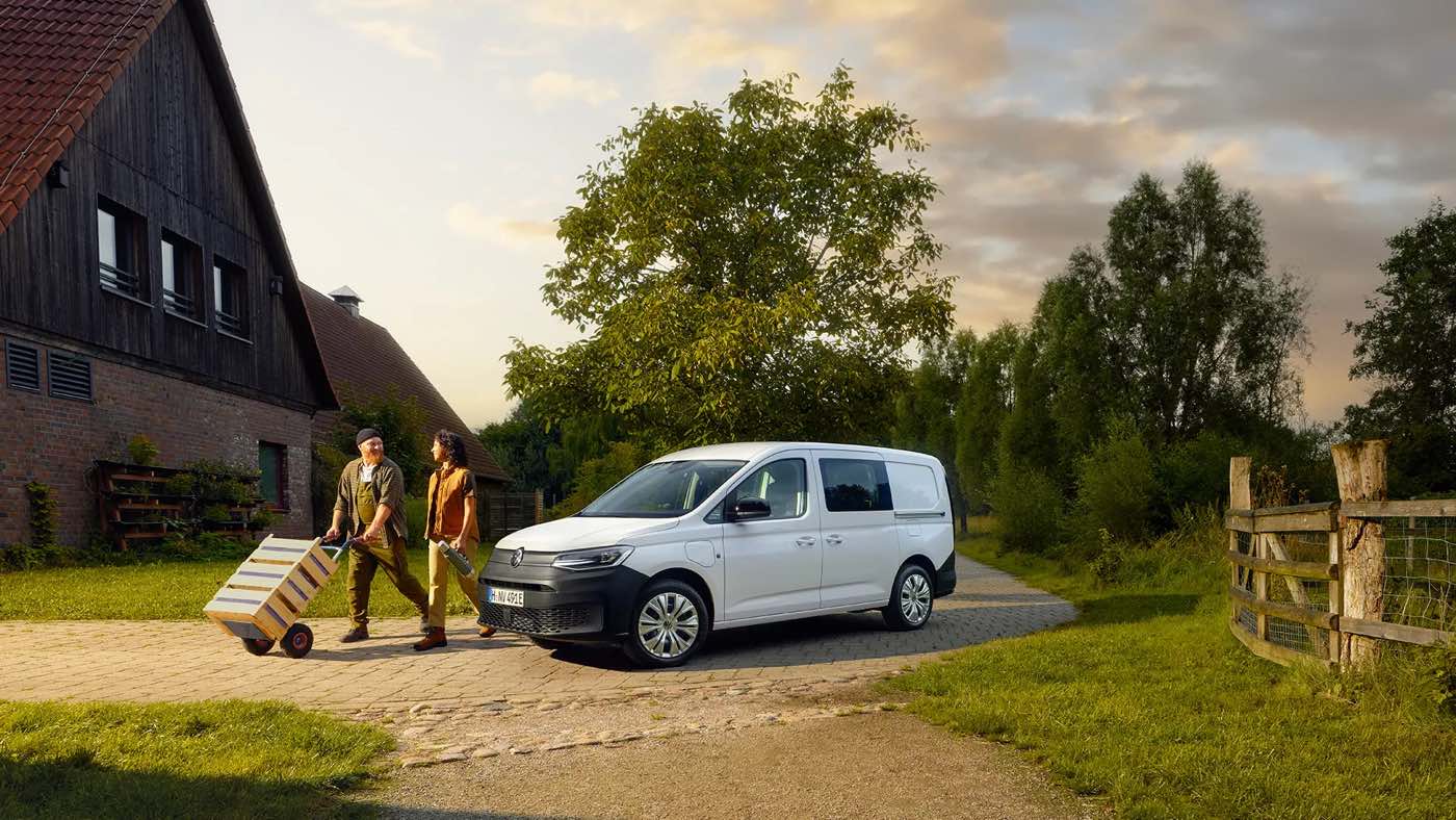 Gamma Volkswagen Professional