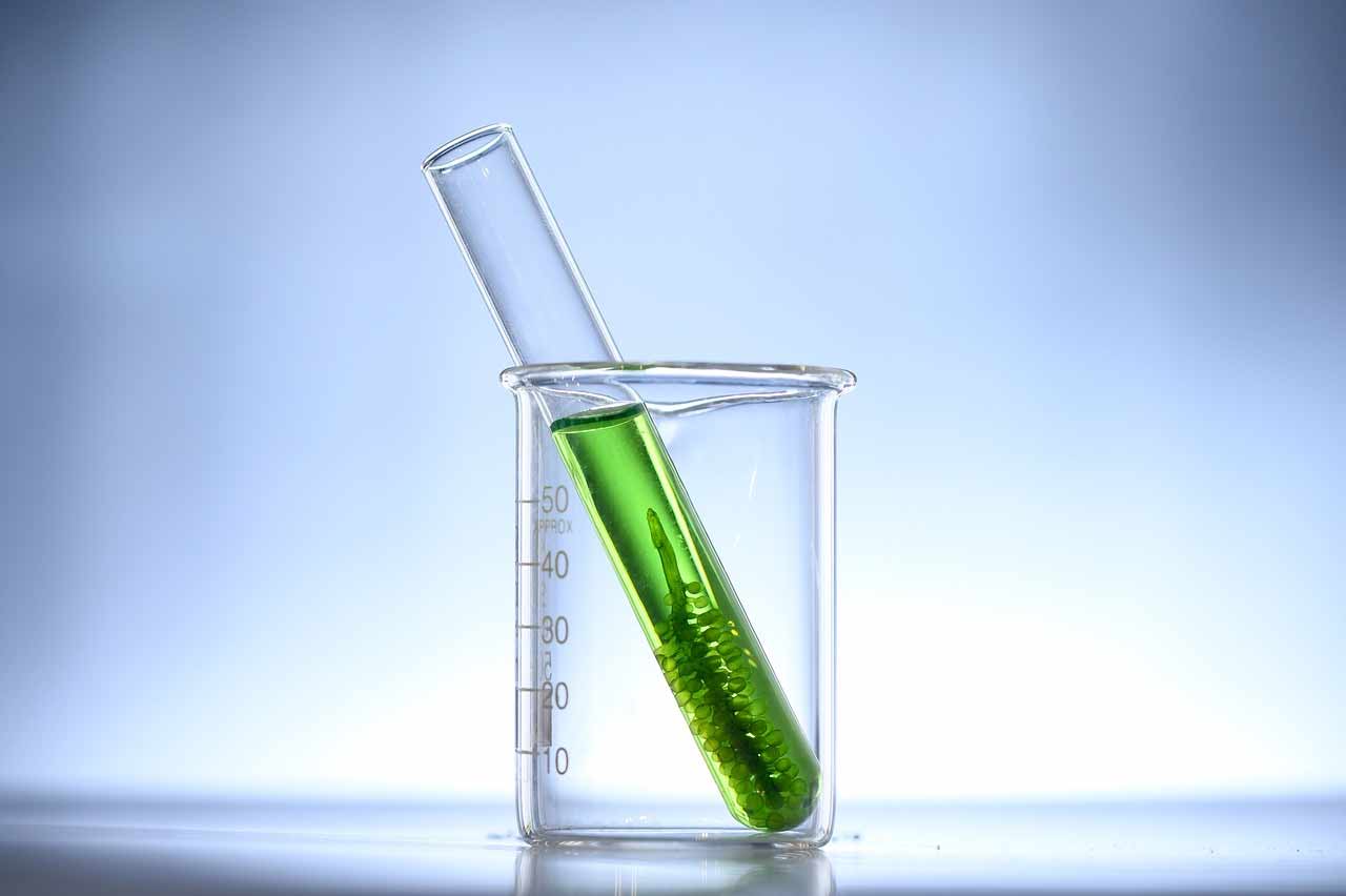 biocarburanti