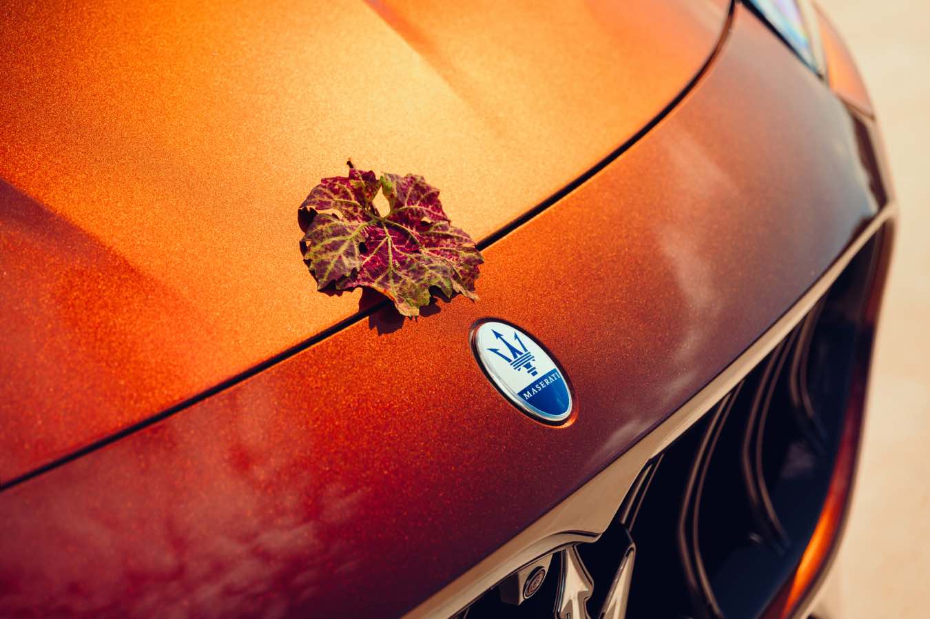 Maserati Grecale Tributo Il Bruciato