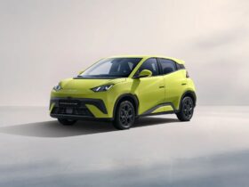 byd dolphin surf