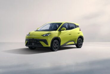byd dolphin surf