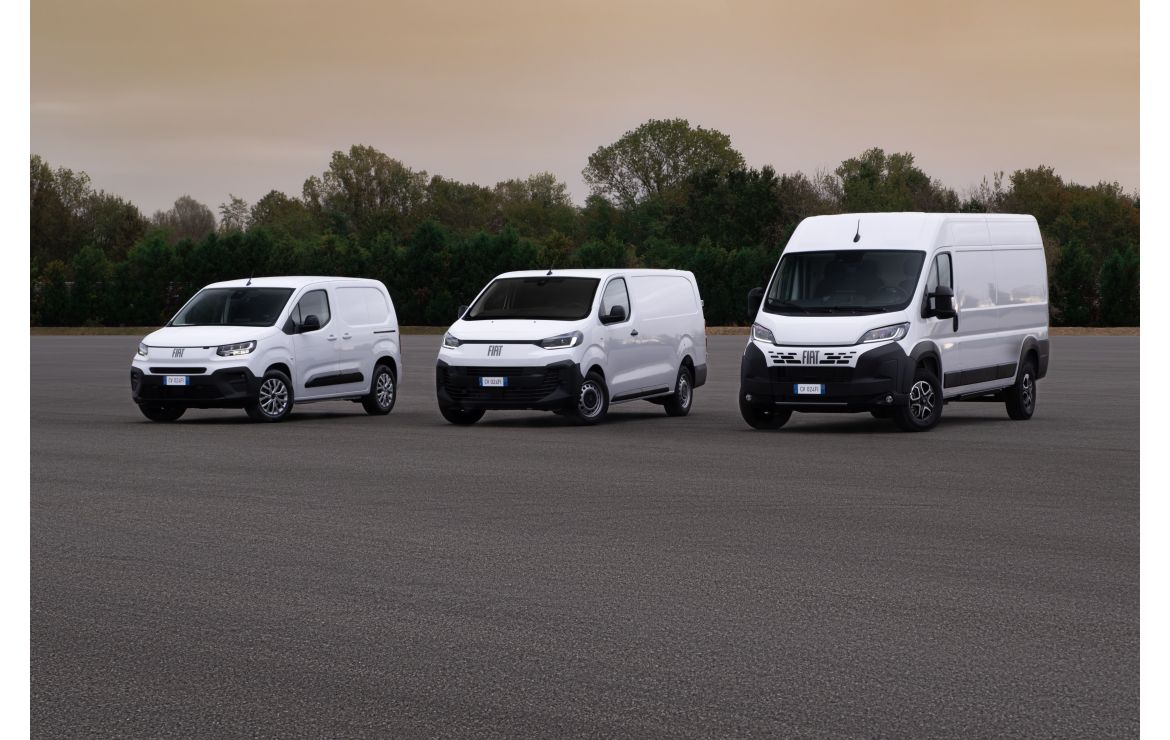 fiat professional