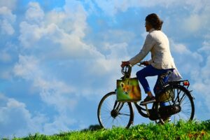 segnaletica stradale per ciclisti